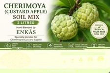 Cherimoya / Custard Apple Soil Mix 2L | Tropical Fruit