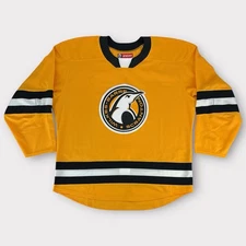 Pro Stock New CCM 2021 Wilkes-Barre/Scranton Penguins Warm-Up Jersey Size 60G