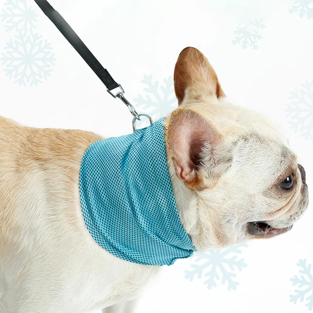 Large Dog Collar Cooling Dogs Scarf Scrunchies Small Dog The Cat | eBay