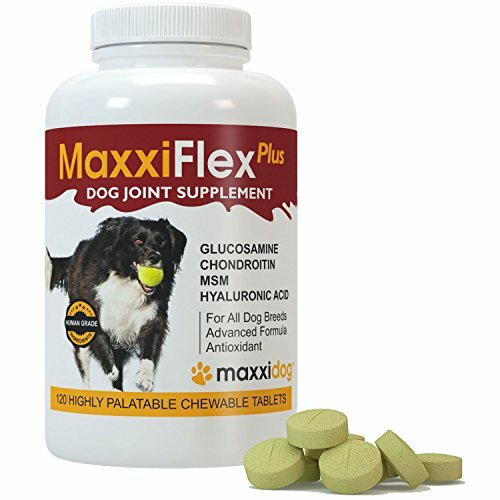 maxxiflex dog joint supplement