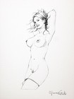 Bild 16 von 23