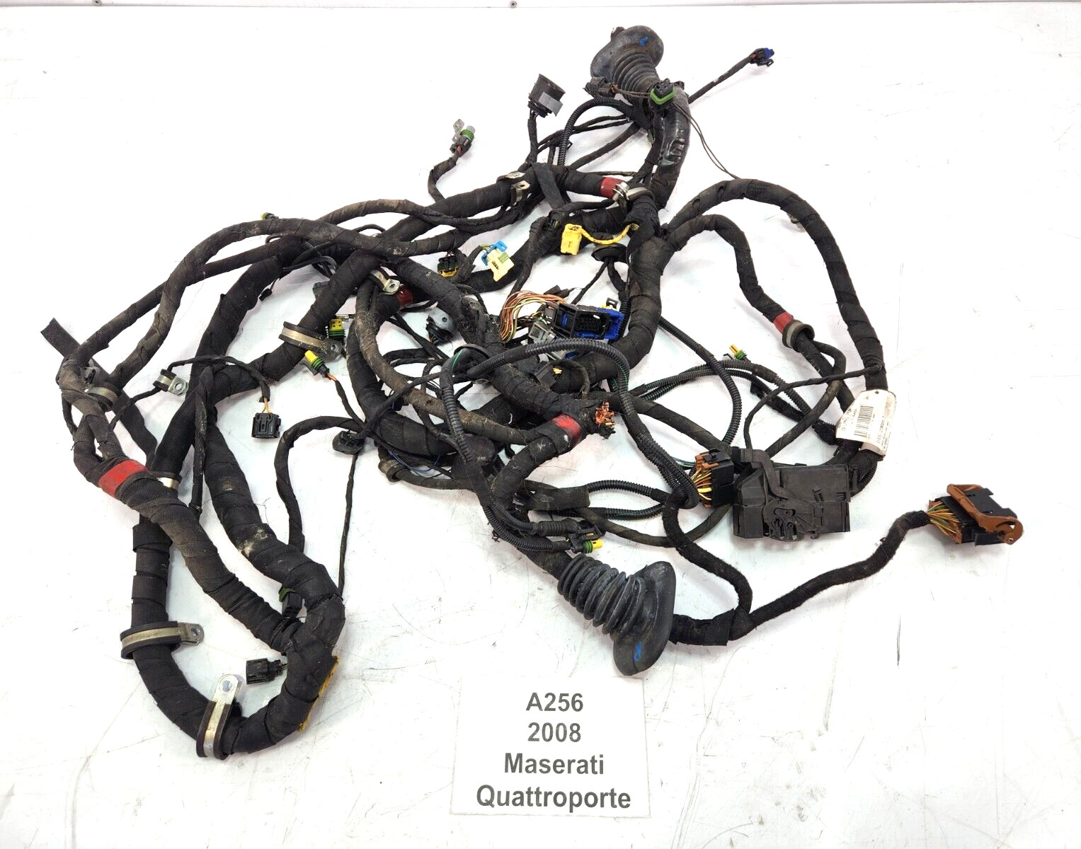 ✅ 04-08 OEM Maserati Quattropore M139 Engine Wire Wiring Harness
