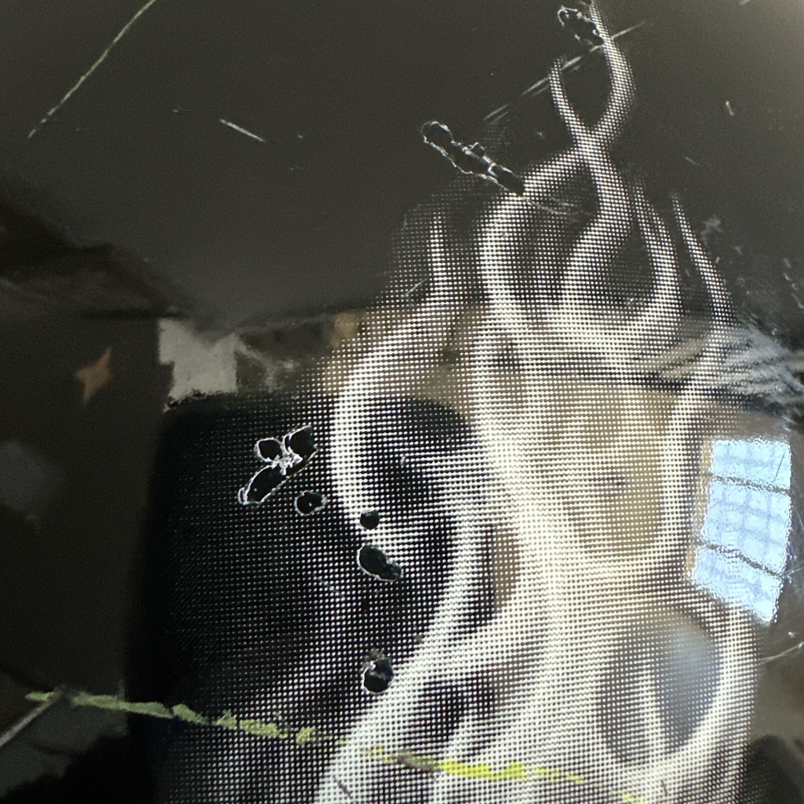 Bild 12 von 17
