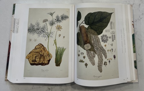 GARDEN EDEN : MASTERPIECES OF BOTANICAL BOOK ILLUSTRATION By H. Walter Lack Vg - Imagen 3 de 7