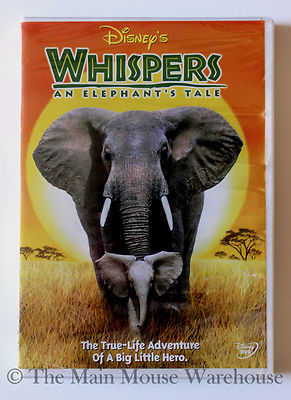 Whispers An Elephant's Tale Story of Baby Elephant Separated From
