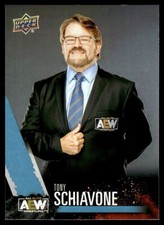 2021 Upper Deck Wrestling AEW Tony Schiavone #79  Crew