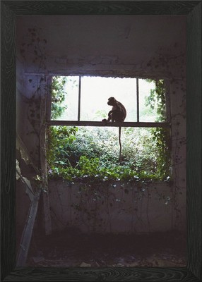 in the jungle Framed Wall Art Poster Print Picture