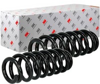 2X NK Federn Fahrwerksfedern Spiralfedern Hinten FüR Audi A4 8E2 B6