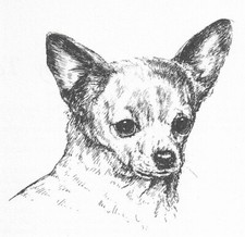 Chihuahua #1 - CUSTOM MATTED - 1963 Vintage D...