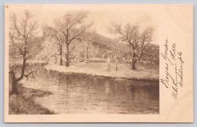 Postcard Art Freyas Garten in Konigswinter 76W
