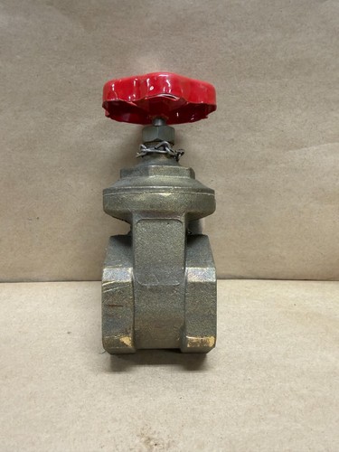 2-Inch Brass PN16 Rising Stem Gate Valve