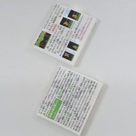 ZELDA 2 ADVENTURE LINK Famicom Mini Gameboy Advance Nintendo 0588 gba