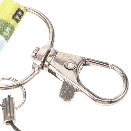 2 Pcs Educational Lanyard Keychain Phone Strap Lanyards for Cell Phones - 第 6/12 張圖片