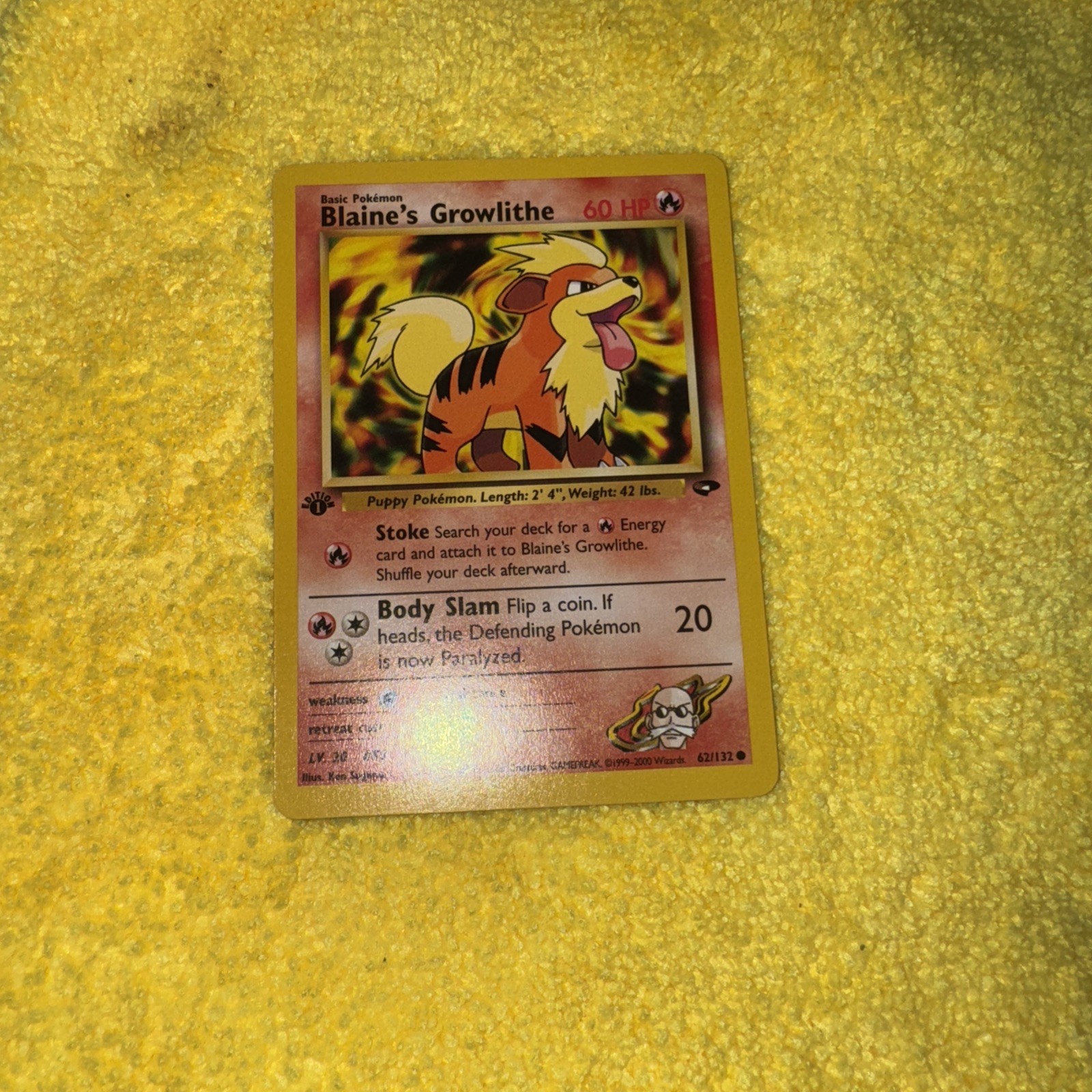 Pokemon TCG Blaine's Growlithe Gym Challenge 62/132 Common 1st Edition NM