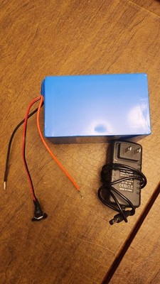 24V 10Ah Lithium Battery with 29.4V 1A Charger