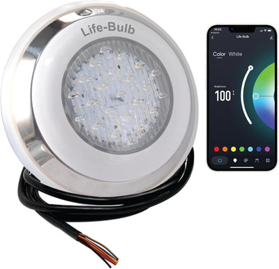 Color Changing Smart LED Spa Lights with Remote & App - 75Ft Cable