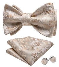 Bow Ties for Men Paisley Self Tie Bowtie Pocket Square Cufflinks Set Champagne