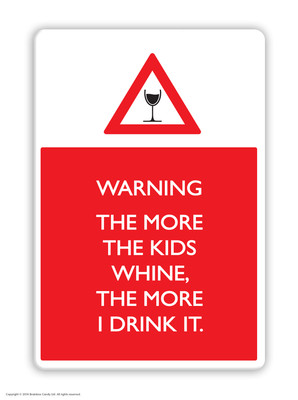 Brainbox Candy Warning Wine magnet funny joke cheap gift birthday present 