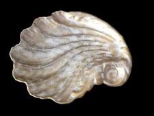 Ceramic Seashell Design Trinket Dish 9"