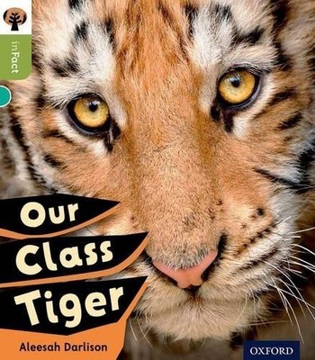 Oxford Reading Tree inFact: Level 7: Our Class T by Darlison, Alessah 0198308035