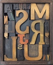 Antik Vintage Buchdruck Montage Druck Blöcke Art gerahmt Kunst