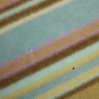 Bild 3 von 17