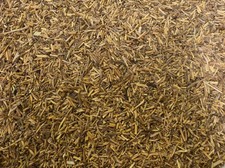 Organic Couch grass rhizome (Elymus repens) Botanical Remedies