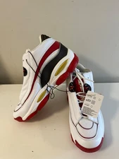 Men Reebok The Answer DMX Basketball Shoes Size 10.5  GW6372 Iverson