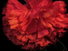Vintage Millinery Flower Fluffy Carnation Hot Pink IQ8