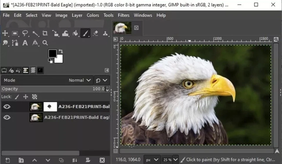 Software profesional de edición de imágenes 2024 - Editor avanzado de fotos Foto 2 de 3