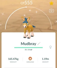 NEW Shiny & NON Shiny Mudbray Pokemon