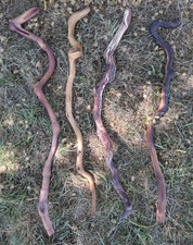  4 Lot Smooth Wood Walking Staffs Sticks Gandalf Hiking Trekking 38-41" Long