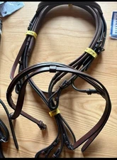 Passport Plain Raised Bridle