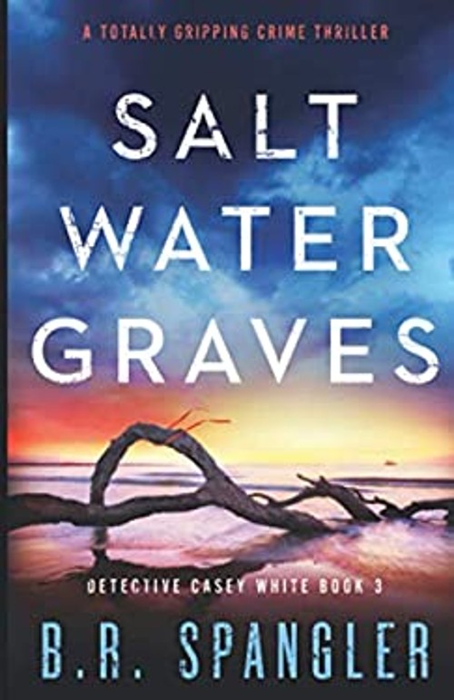 Saltwater Graves : A Totally Gripping Crime Thriller Paperback B.Free US Delivery | ISBN:183888260X