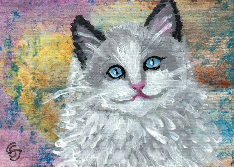 ACEO Original Cat Blue Eyes Acrylic Painting Cute Animal Art by CS Jackson