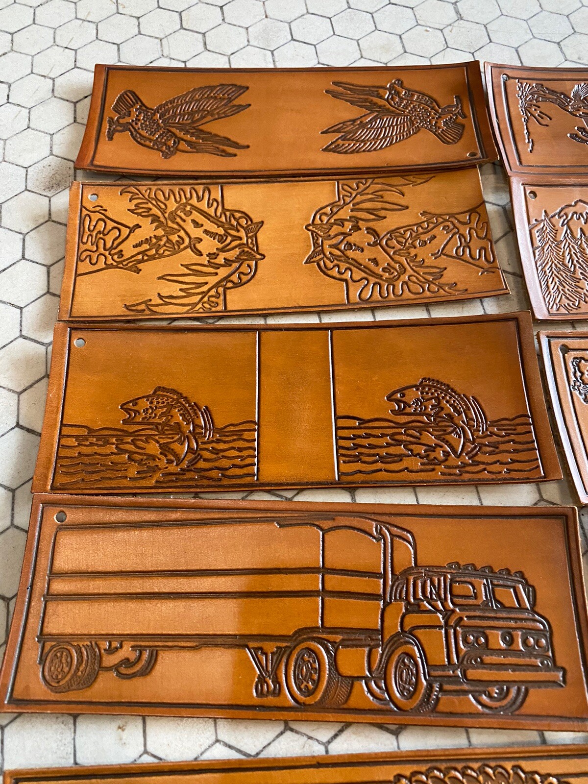 Picture 3 of 14