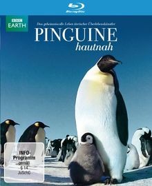 Pinguine Hautnah [Blu-ray] von Downer, John | DVD | Zustand sehr gut