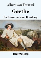 Albert Von Trentini | Goethe | Taschenbuch | Deutsch (2019) | 472 S.