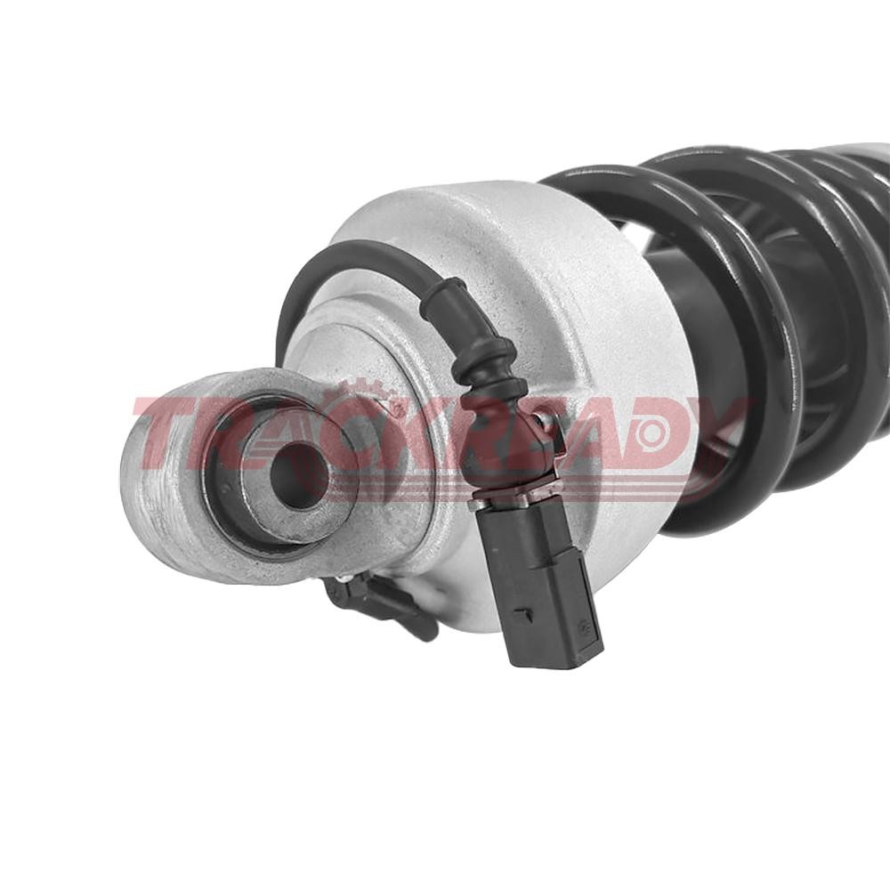 Audi R8 2014-2019 FRONT+LEFT, RIGHT Strut assembly P/N 420412020AJ