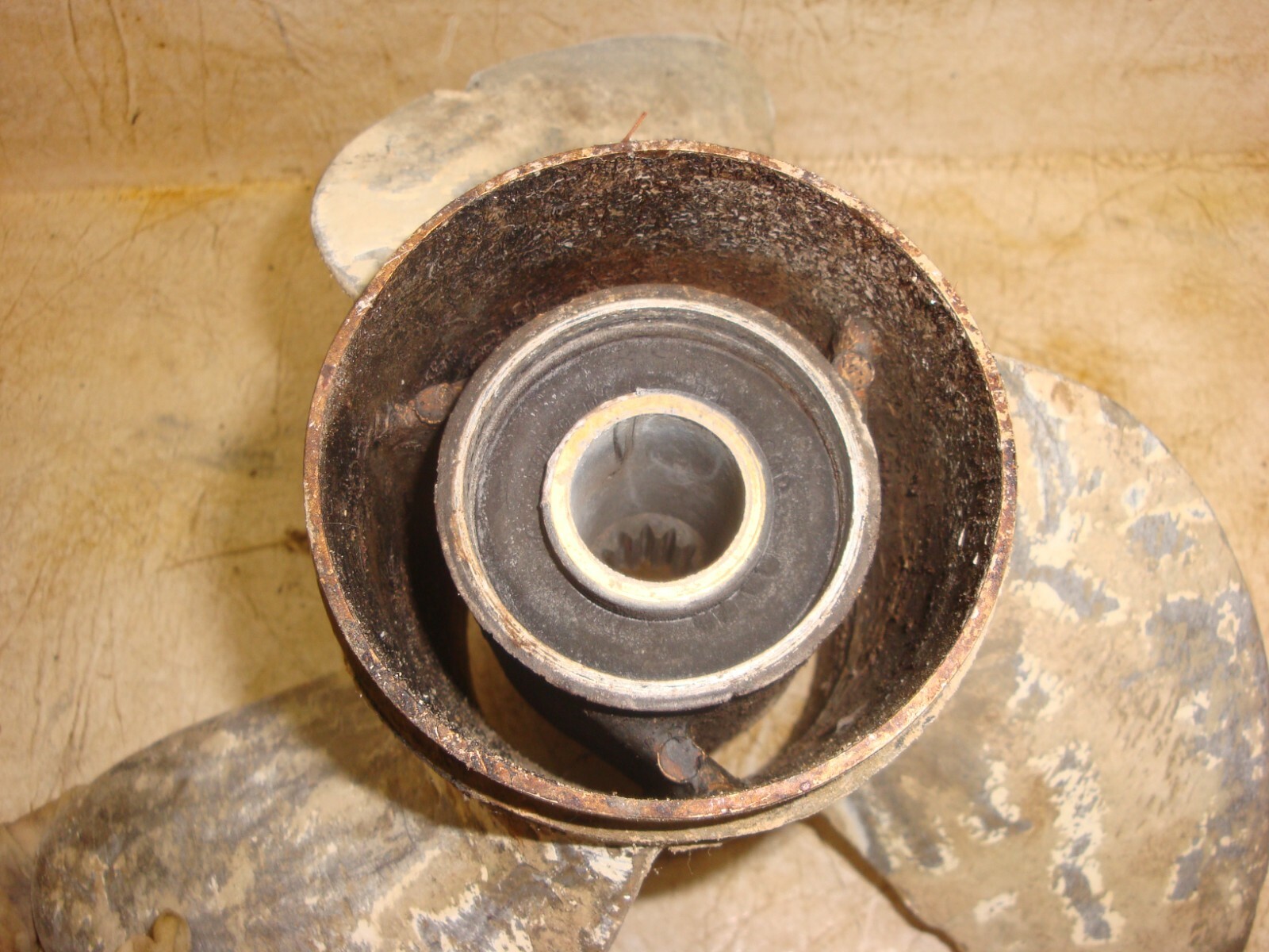 Picture 9 of 10
