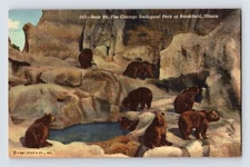 Postcard Illinois Brookfield IL Chicago Zoo Bear Pit 1940s Unposted Linen
