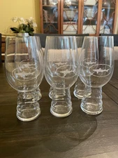 Etched DOGFISH HEAD Rare Special Edition IPA Ribbed Beer Glass