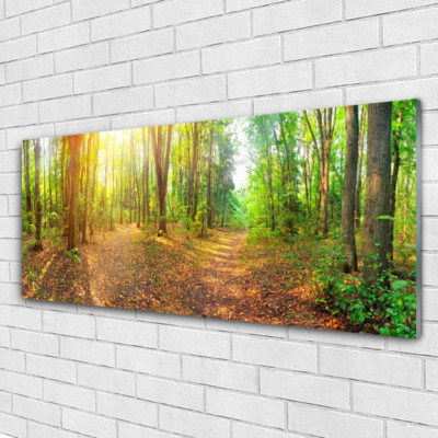 Acrylglasbilder Wandbilder aus Plexiglas  125x50 Wald Natur