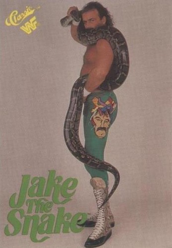 1990 Classic WWF #7 Jake The Snake Roberts - NM-MT | eBay