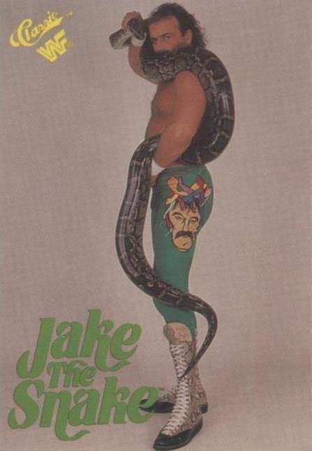 1989 Classic WWF - Jake 