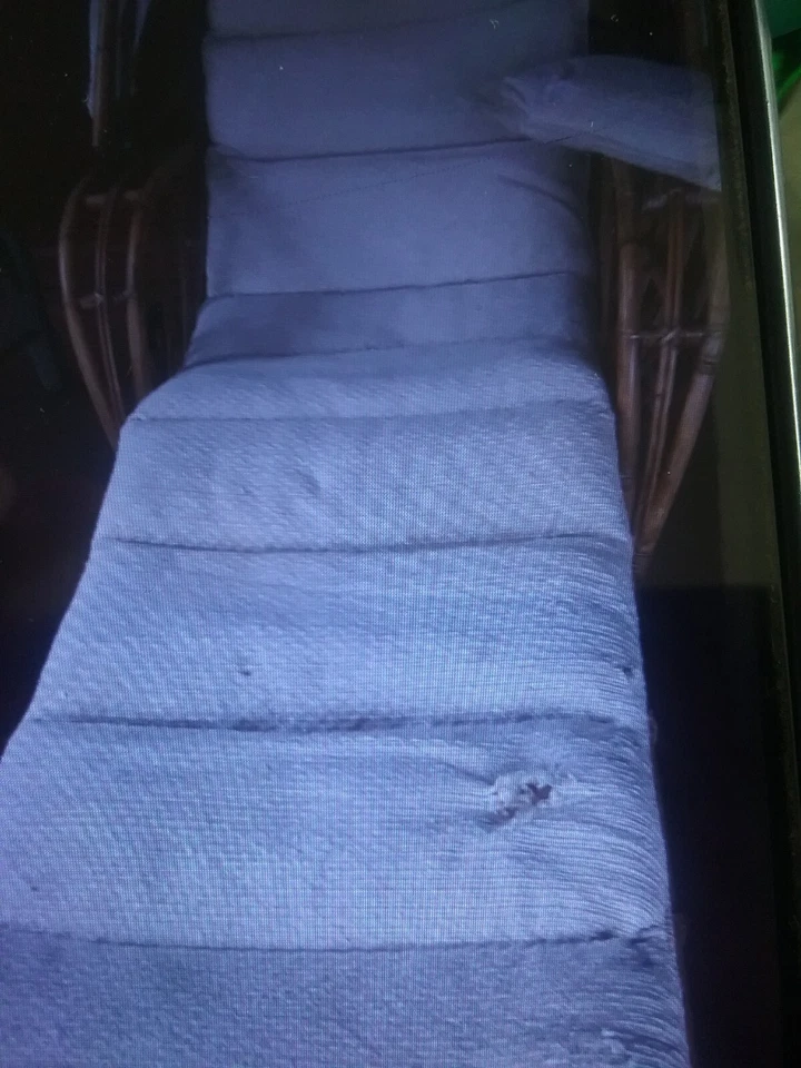 Chaise lounge antiguo raro de ratán con dosel de flecos Foto 2 de 4