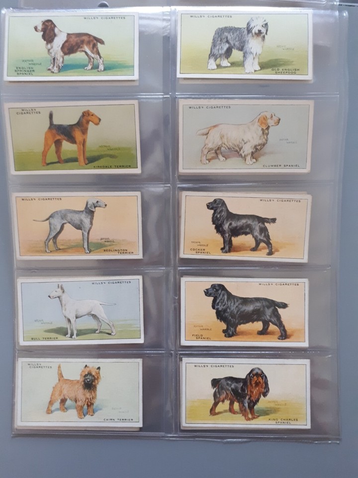 Dogs 1937 Adhesive Backs Wills Great Britain & Ireland Issue Set 50 eBay