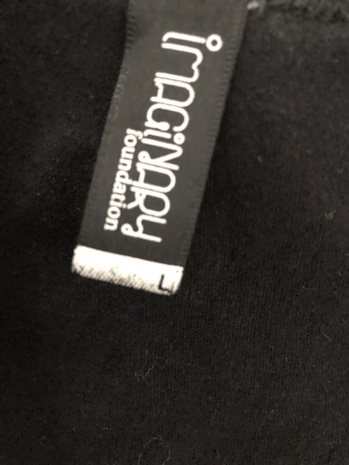 The Imaginary Foundation Albert Einstein Sleevele… - image 6