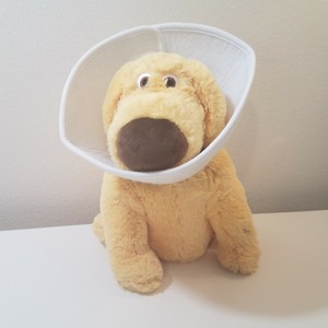 pixar dog cone