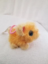 Cat Yellow Orange Scruff a luvs Plush Stuffed Mini 4" backpack clip Moose 2019